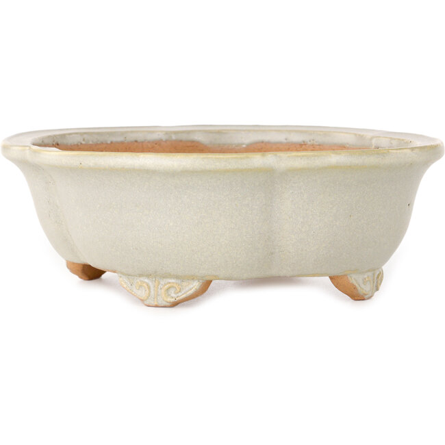 Maceta para bonsái Mokko en color blanco roto de Shibakatsu - 182 x 158 x 63 mm