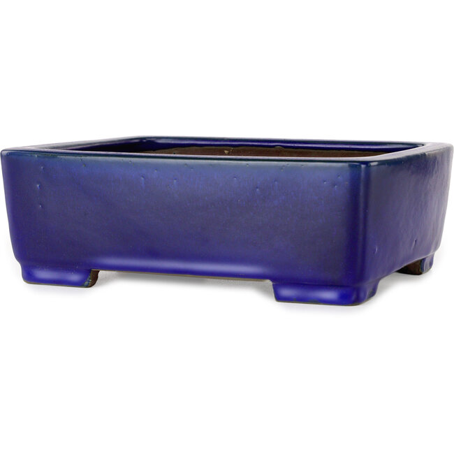 Maceta rectangular para bonsái azul oscuro de Shibakatsu - 207 x 161 x 68 mm