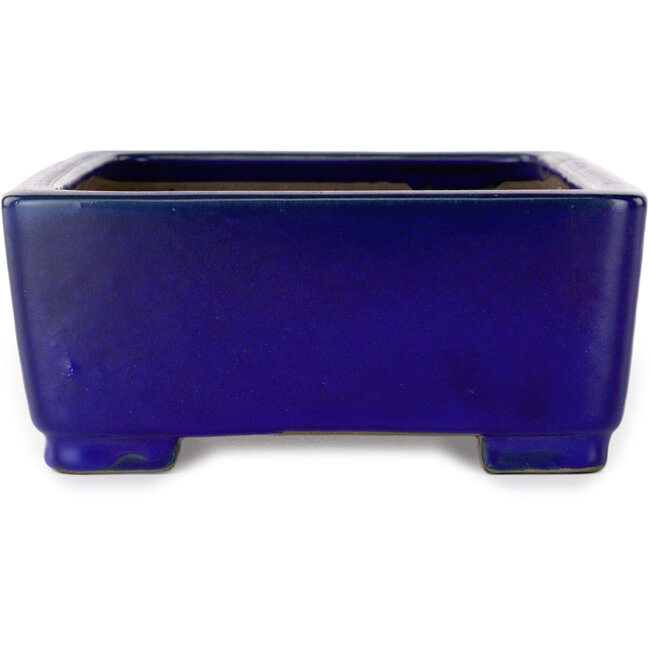 Pot à bonsaï rectangulaire bleu foncé de Shibakatsu - 207 x 161 x 68 mm