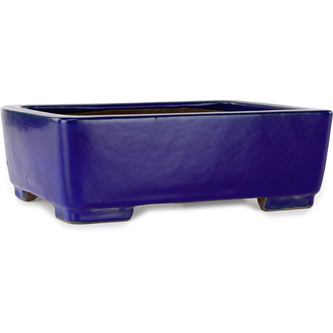 Vaso bonsai rettangolare blu scuro di Shibakatsu - 207 x 161 x 68 mm