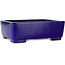 Pot à bonsaï rectangulaire bleu foncé de Shibakatsu - 207 x 161 x 68 mm
