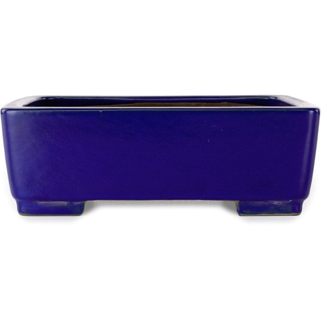 Pot à bonsaï rectangulaire bleu foncé de Shibakatsu - 207 x 161 x 68 mm