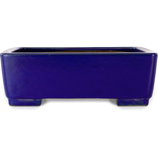 Rectangular dark blue bonsai pot by Shibakatsu - 207 x 161 x 68 mm