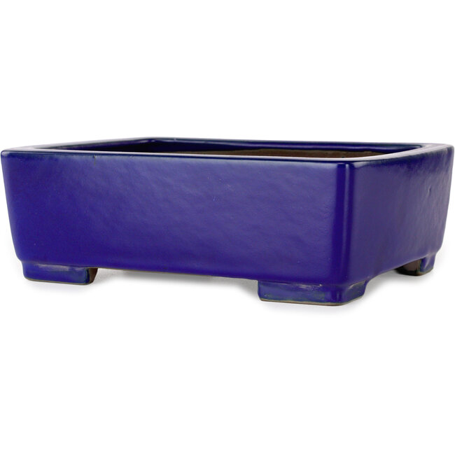 Vaso bonsai rettangolare blu scuro di Shibakatsu - 207 x 161 x 68 mm