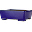 Maceta rectangular para bonsái azul oscuro de Shibakatsu - 207 x 161 x 68 mm