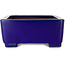 Vaso bonsai rettangolare blu scuro di Shibakatsu - 207 x 161 x 68 mm