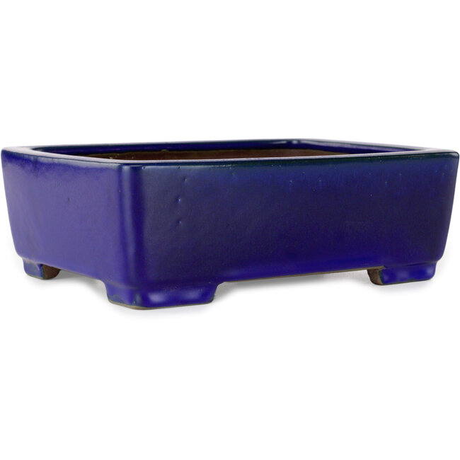Pot à bonsaï rectangulaire bleu foncé de Shibakatsu - 207 x 161 x 68 mm