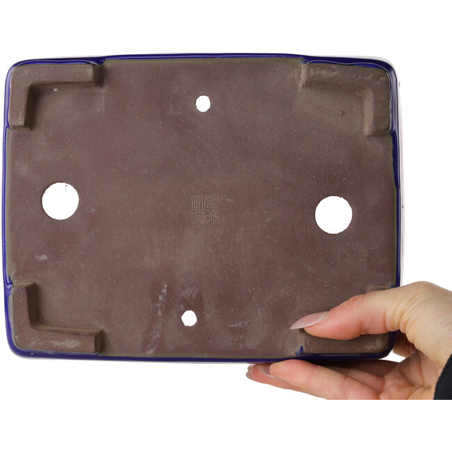 Rechthoekige donkerblauwe bonsaipot van Shibakatsu - 207 x 161 x 68 mm