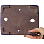 Pot à bonsaï rectangulaire bleu foncé de Shibakatsu - 207 x 161 x 68 mm