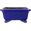 Rectangular dark blue bonsai pot by Shibakatsu - 188 x 152 x 65 mm