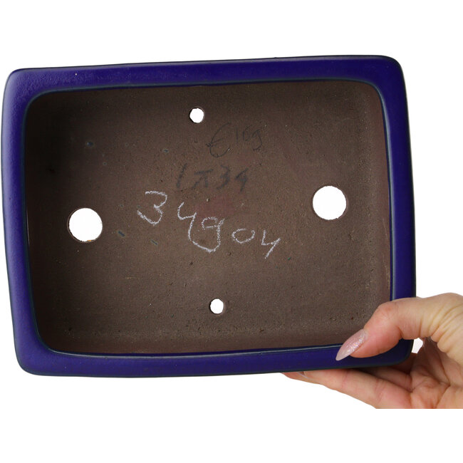 Maceta rectangular para bonsái azul oscuro de Shibakatsu - 207 x 161 x 68 mm
