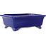 Vaso bonsai rettangolare blu scuro di Shibakatsu - 188 x 152 x 65 mm