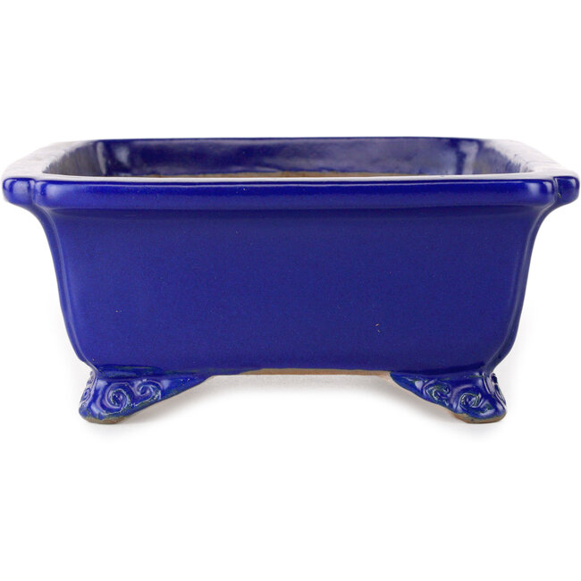 Pot à bonsaï rectangulaire bleu foncé de Shibakatsu - 188 x 152 x 65 mm