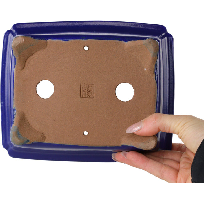 Pot à bonsaï rectangulaire bleu foncé de Shibakatsu - 188 x 152 x 65 mm