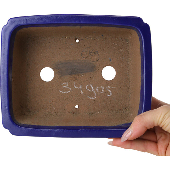 Maceta rectangular para bonsái azul oscuro de Shibakatsu - 188 x 152 x 65 mm