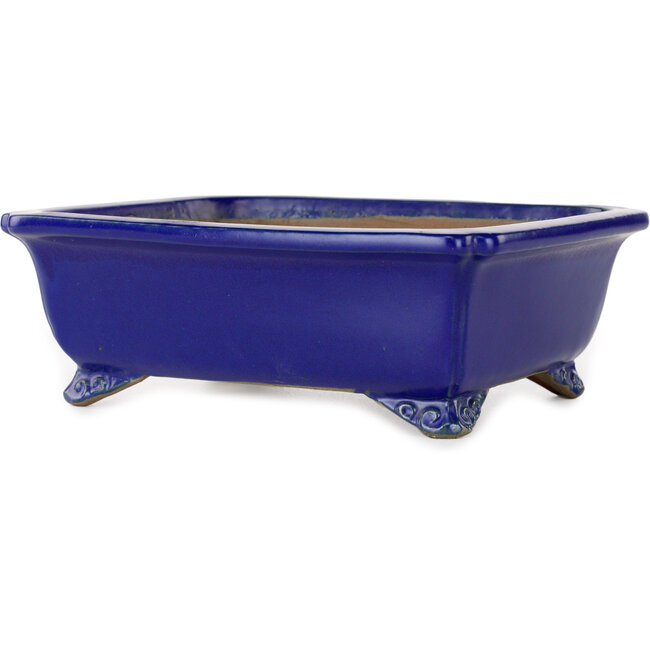 Pot à bonsaï rectangulaire bleu foncé de Shibakatsu - 188 x 152 x 65 mm