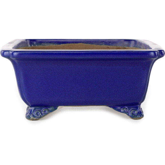 Vaso bonsai rettangolare blu scuro di Shibakatsu - 188 x 152 x 65 mm