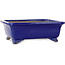 Vaso bonsai rettangolare blu scuro di Shibakatsu - 188 x 152 x 65 mm