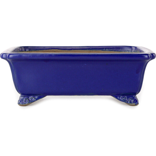 Rectangular dark blue bonsai pot by Shibakatsu - 188 x 152 x 65 mm