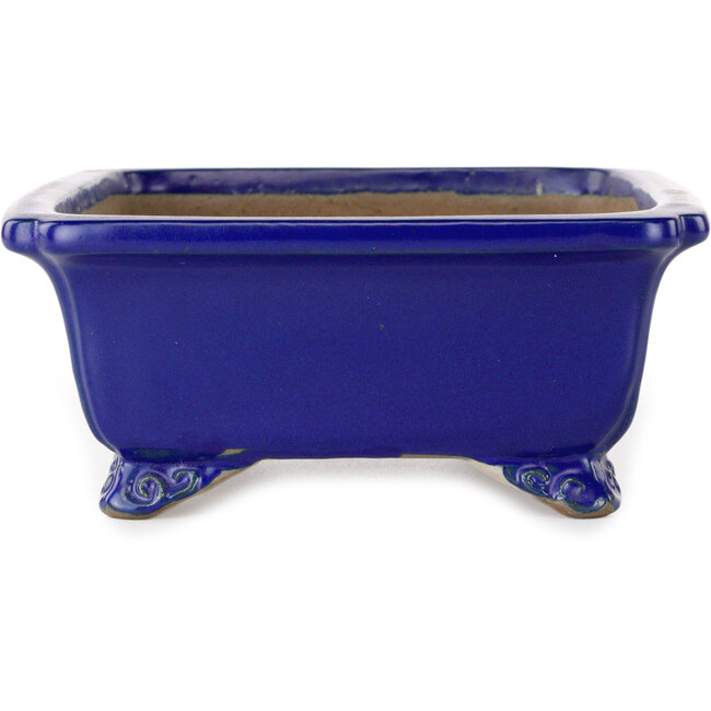 Pot à bonsaï rectangulaire bleu foncé de Shibakatsu - 188 x 152 x 65 mm