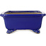 Pot à bonsaï rectangulaire bleu foncé de Shibakatsu - 188 x 152 x 65 mm