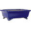 Rechthoekige donkerblauwe bonsaipot van Shibakatsu - 188 x 152 x 65 mm