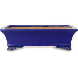  Shibakatsu (Katsuichi Shibata) Maceta para bonsái rectangular de 193 mm en azul oscuro de Shibakatsu, Tokoname, Japón
