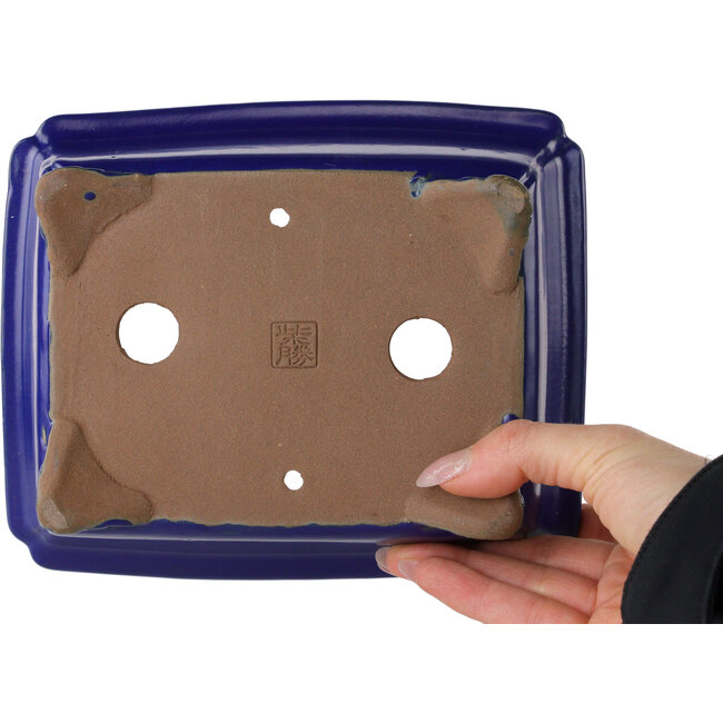 Maceta rectangular para bonsái azul oscuro de Shibakatsu - 188 x 152 x 65 mm