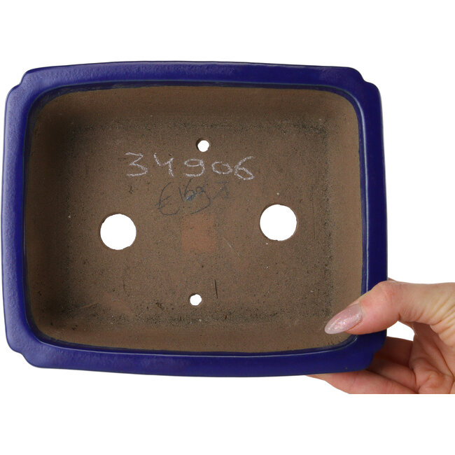 Pot à bonsaï rectangulaire bleu foncé de Shibakatsu - 188 x 152 x 65 mm