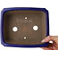 Rectangular dark blue bonsai pot by Shibakatsu - 188 x 152 x 65 mm