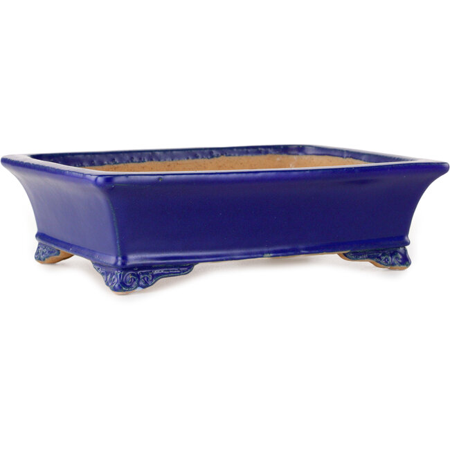 Pot à bonsaï rectangulaire bleu foncé de Shibakatsu - 193 x 149 x 55 mm