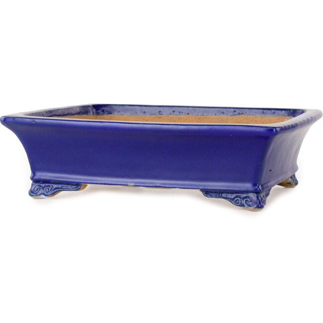 Rectangular dark blue bonsai pot by Shibakatsu - 193 x 149 x 55 mm