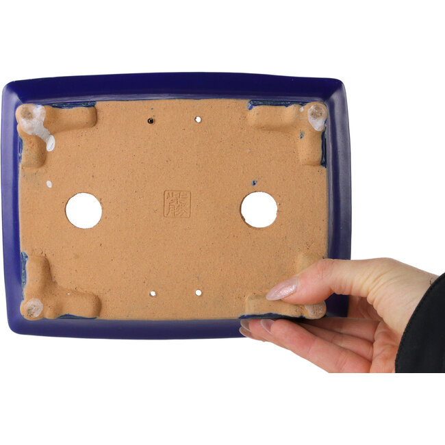 Pot à bonsaï rectangulaire bleu foncé de Shibakatsu - 193 x 149 x 55 mm