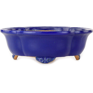  Shibakatsu (Katsuichi Shibata) Pot à bonsaï mokko bleu foncé 182 mm par Shibakatsu, Tokoname, Japon