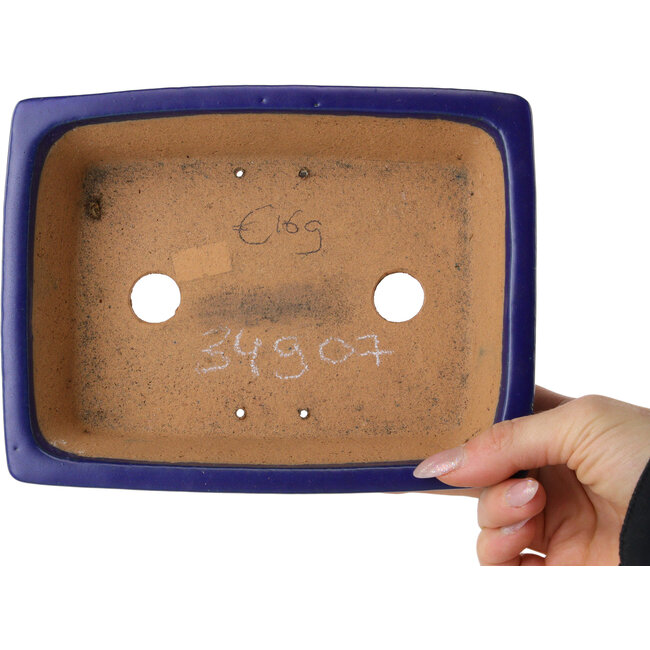 Pot à bonsaï rectangulaire bleu foncé de Shibakatsu - 193 x 149 x 55 mm