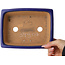 Maceta rectangular para bonsái azul oscuro de Shibakatsu - 193 x 149 x 55 mm