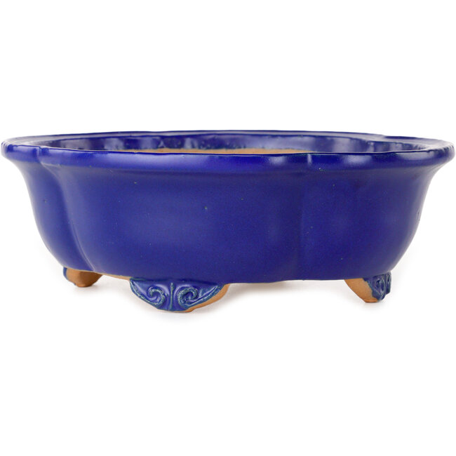 Pot à bonsaï bleu foncé Mokko de Shibakatsu - 182 x 158 x 63 mm