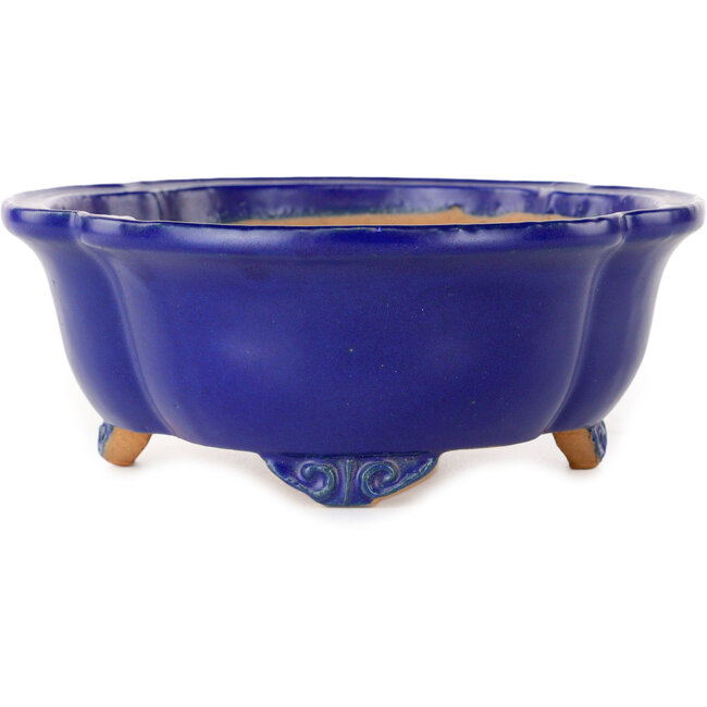 Vaso bonsai Mokko blu scuro di Shibakatsu - 182 x 158 x 63 mm