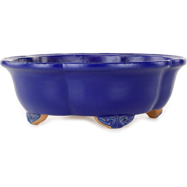 Vaso bonsai Mokko blu scuro di Shibakatsu - 182 x 158 x 63 mm