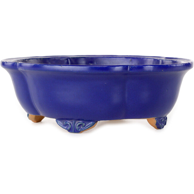 Mokko dark blue bonsai pot by Shibakatsu - 182 x 158 x 63 mm