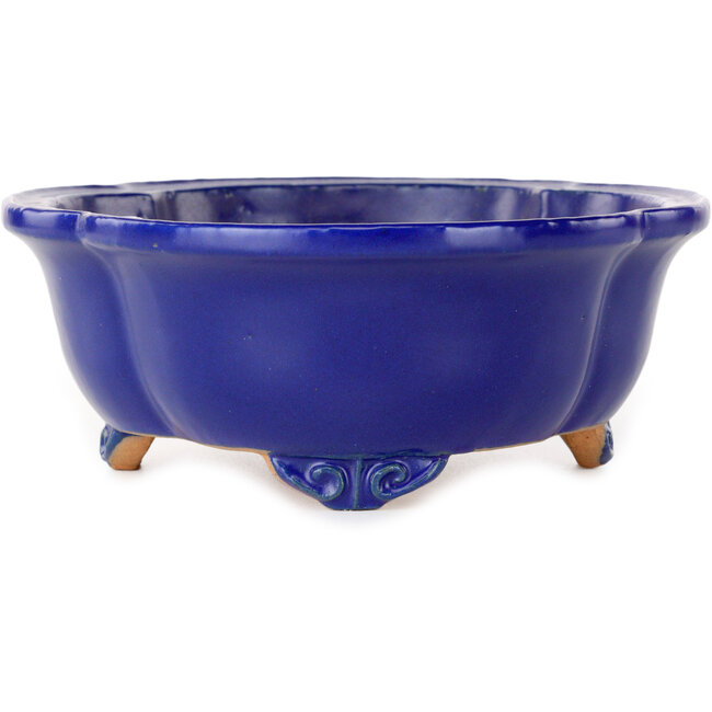 Mokko donkerblauwe bonsaipot van Shibakatsu - 182 x 158 x 63 mm