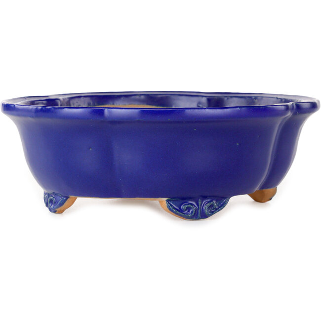 Mokko donkerblauwe bonsaipot van Shibakatsu - 182 x 158 x 63 mm