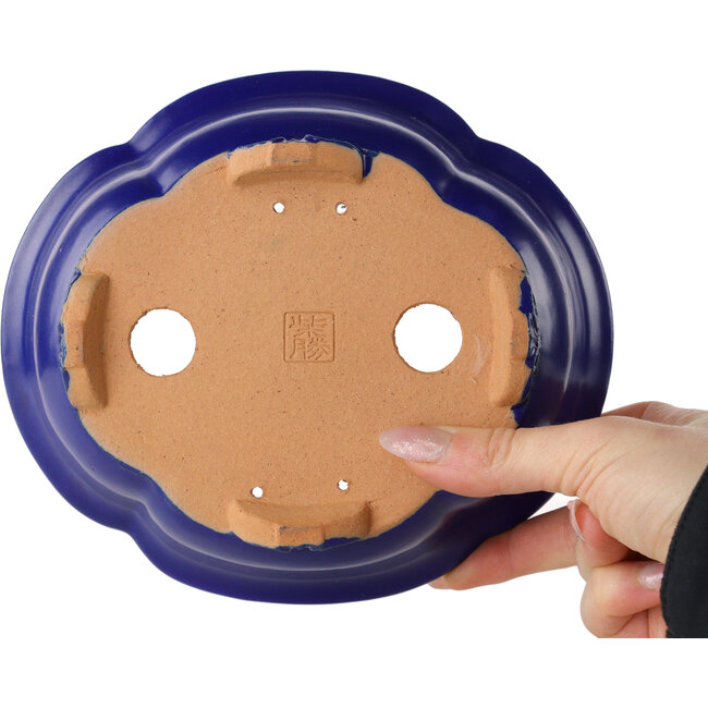 Pot à bonsaï bleu foncé Mokko de Shibakatsu - 182 x 158 x 63 mm