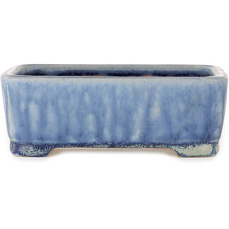  Shibakatsu (Katsuichi Shibata) Maceta rectangular para bonsái azul de 126 mm de Shibakatsu, Tokoname, Japón