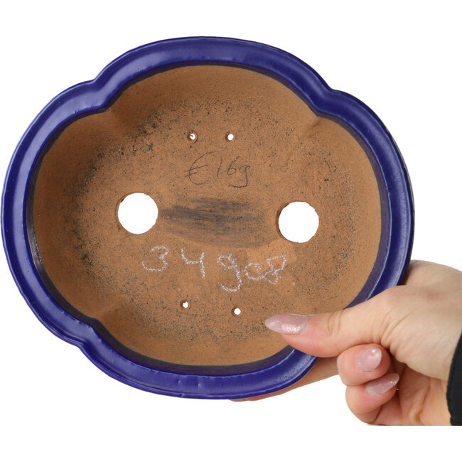 Mokko donkerblauwe bonsaipot van Shibakatsu - 182 x 158 x 63 mm