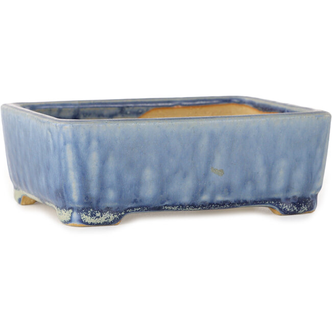 Pot à bonsaï rectangulaire bleu de Shibakatsu - 126 x 101 x 43 mm