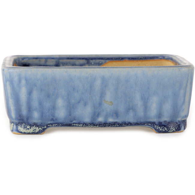 Maceta rectangular azul para bonsái de Shibakatsu - 126 x 101 x 43 mm
