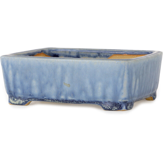 Pot à bonsaï rectangulaire bleu de Shibakatsu - 126 x 101 x 43 mm