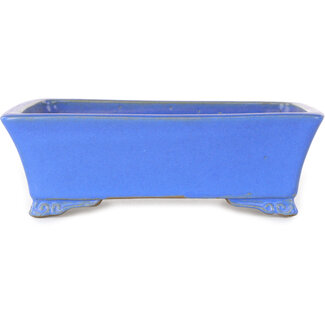  Shibakatsu (Katsuichi Shibata) Maceta rectangular para bonsái azul de 182 mm de Shibakatsu, Tokoname, Japón