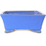 Rechthoekige blauwe bonsaipot van Shibakatsu - 182 x 145 x 60 mm